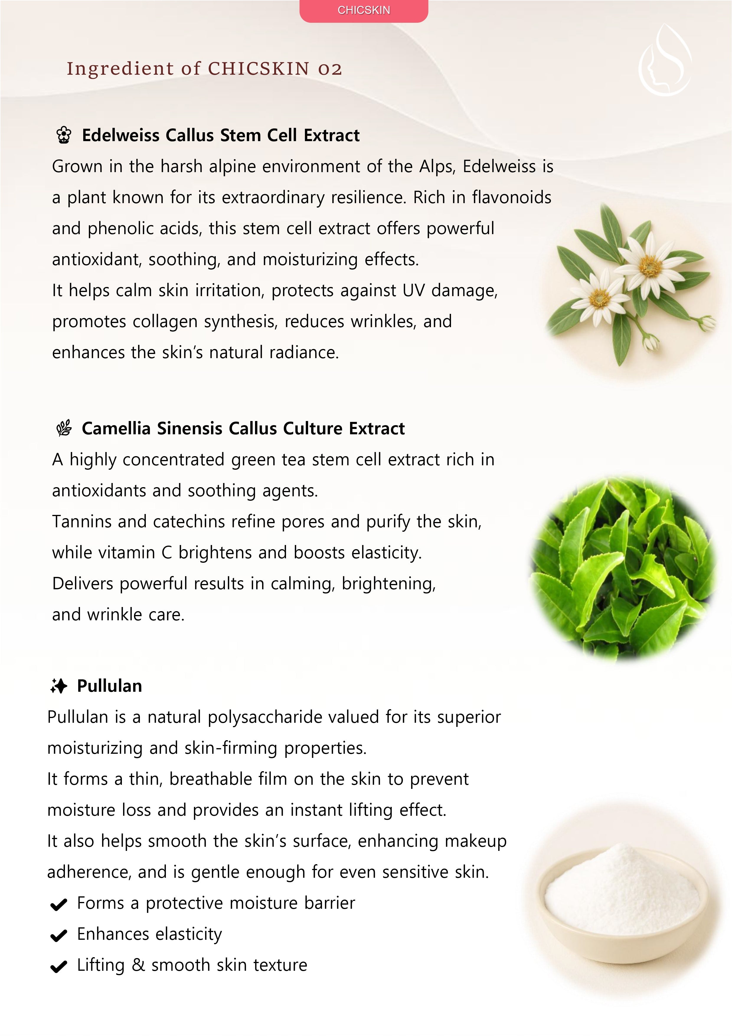 CHICSKIN TOX VOLUME CREAM 50g – Chicskin